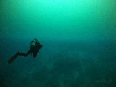 ダイビングで宮古島エリアの通り池に潜ってみた